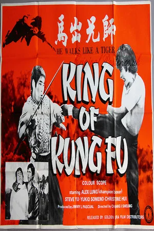 Постер: King of Kung Fu