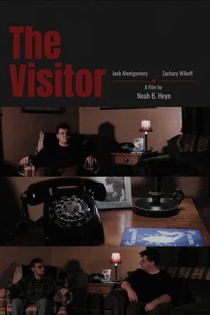 Постер: The Visitor