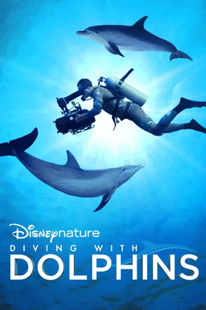 Постер: Diving with Dolphins