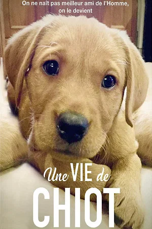 Постер: Une vie de chiot