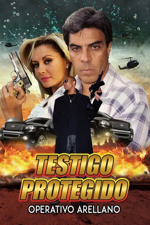 Постер: Testigo protegido