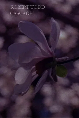 Постер: Cascade
