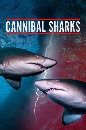 Постер: Cannibal Sharks