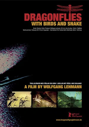 Постер: Dragonflies with Birds and Snake
