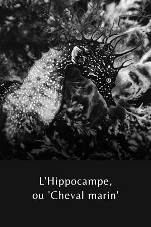 Постер: The Sea Horse