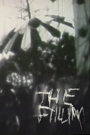 Постер: The Film