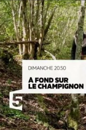 Постер: A fond sur le champignon
