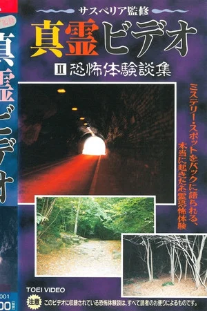 Постер: Shin rei bideo II: Kyôfu taikendan-shuu