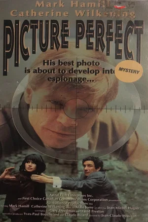 Постер: Picture Perfect