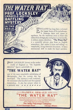 Постер: The Water Rat