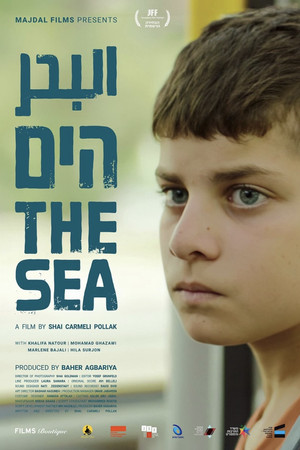 Постер: The Sea