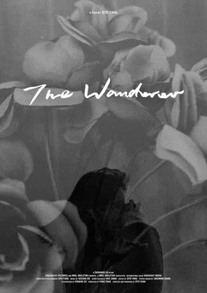 Постер: The Wanderer