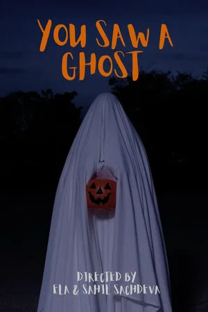 Постер: You Saw a Ghost