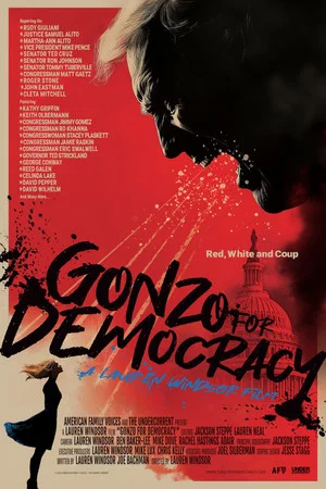 Постер: Gonzo for Democracy
