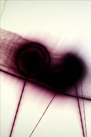 Постер: Snail Trail