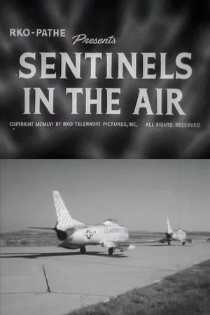 Постер: Sentinels in the Air