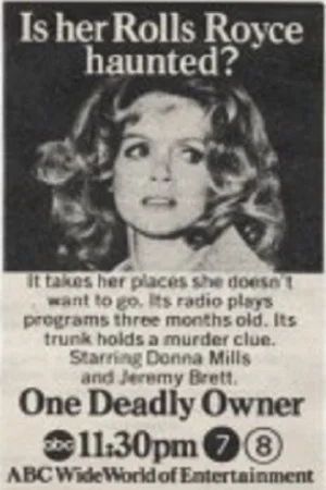 Постер: One Deadly Owner