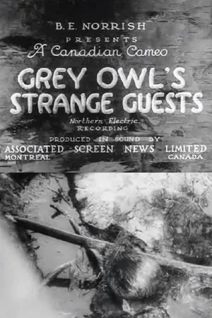 Постер: Grey Owl's Strange Guests