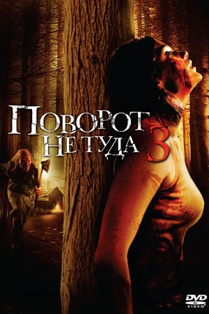 Постер: Поворот не туда 3
