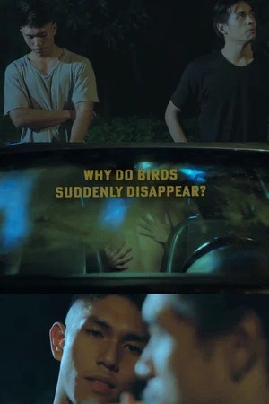 Постер: Why Do Birds Suddenly Disappear?