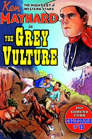 Постер: The Grey Vulture