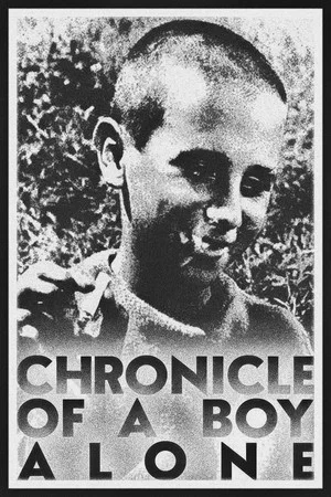 Постер: Chronicle of a Boy Alone
