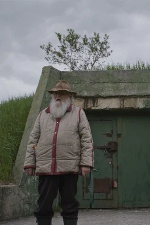Постер: Shelter