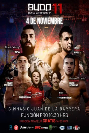 Постер: Budo Sento Championship 11