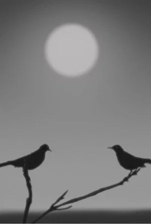 Постер: Birdsong