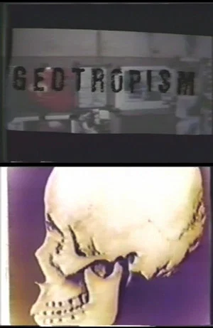 Постер: Geotropism