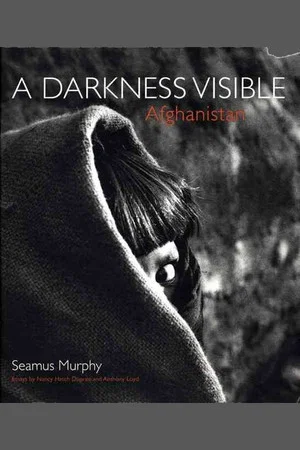 Постер: A Darkness Visable: Afghanistan
