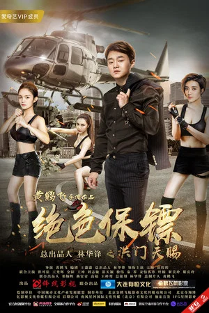 Постер: Stunning Bodyguard