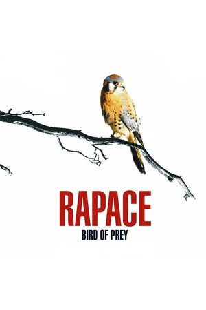 Постер: Bird of Prey