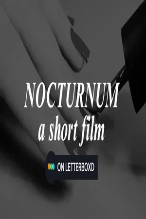 Постер: Nocturnum
