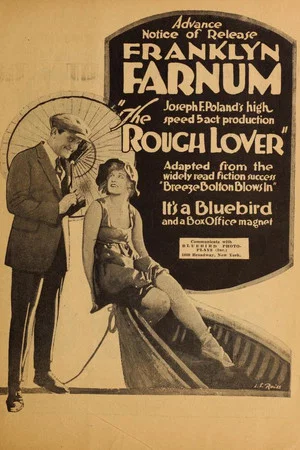 Постер: The Rough Lover