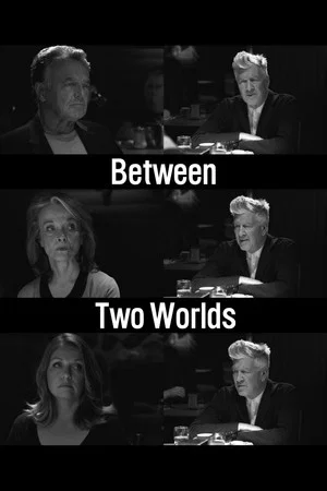 Постер: Between Two Worlds