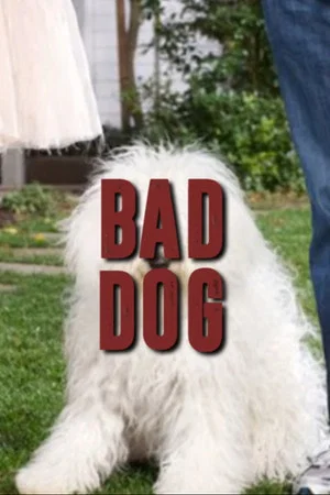 Постер: Mark Zuckerberg’s Dog