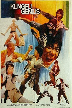 Постер: Kung Fu Genius
