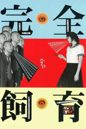 Постер: The Perfect Education