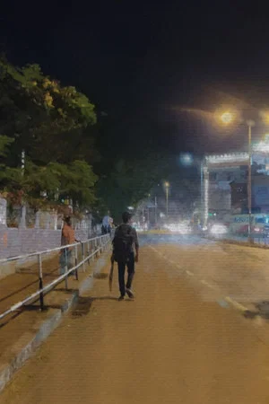 Постер: The path of a bat