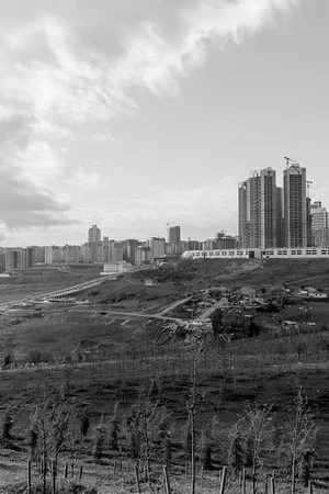 Постер: Letters from Silivri