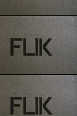 Постер: Flik Flak