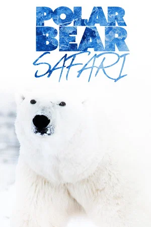 Постер: Polar Bear Safari