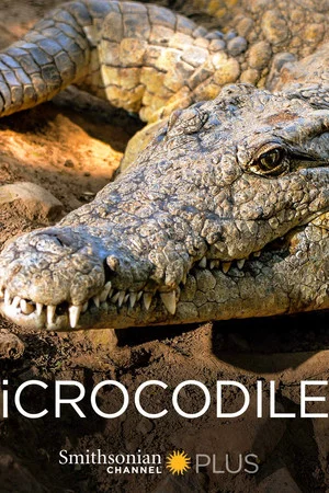 Постер: iCrocodile