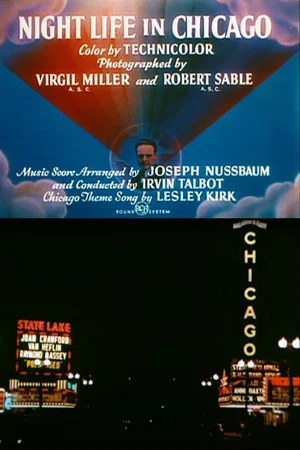 Постер: Night Life in Chicago