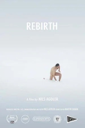 Постер: Rebirth