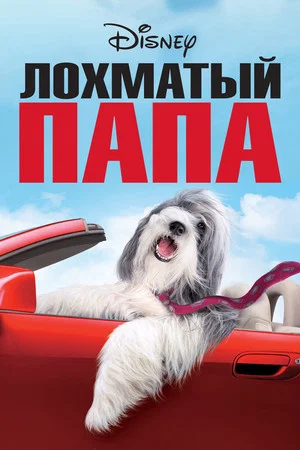 Постер: Лохматый папа