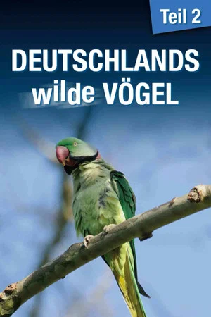 Постер: Deutschlands Wilde Vögel 2