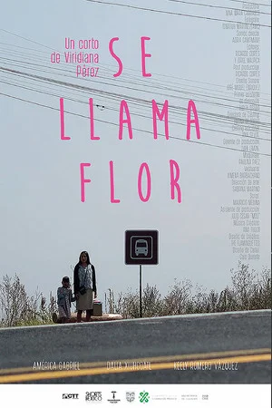 Постер: Her Name Is Flor
