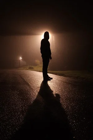 Постер: In the Night